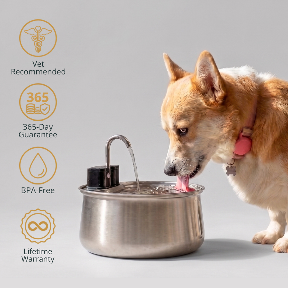The DoggySpout 4L and 7L