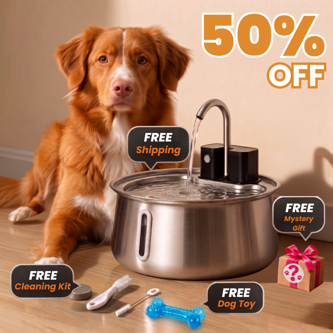 Get 50% OFF + 4 FREE Gifts Today!